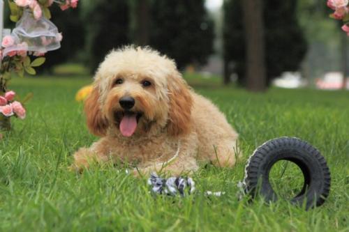 �����γǌ����Bֳ����