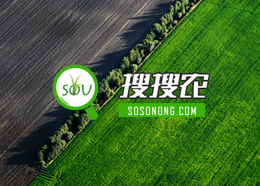 �����r(n��ng)�r(n��ng)�I(y��)W(w��ng)վ�O(sh��)Ӌ(j��)���p