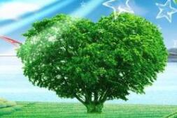 �������뾫�J�h���O�����޹�˾