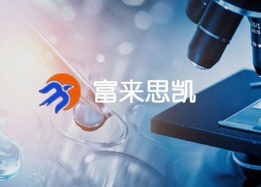 ����˼�P�t(y��)���W(w��ng)վ�������p