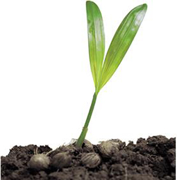 ���焓ˇ�c���������ɺ�ӆ�Wվ���O�_�l��ͬ