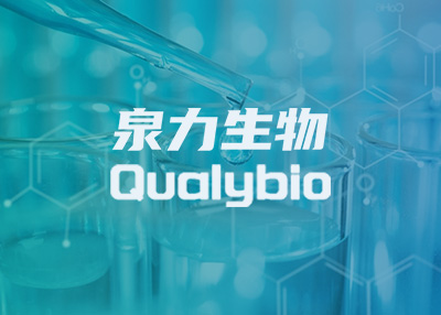 Ȫ������Wվ���O�_�l�������p