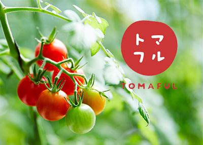 �r�I�aƷ�Wվ�����������p