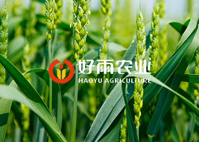 �r(n��ng)�a(ch��n)Ʒ�W(w��ng)վ�O(sh��)Ӌ(j��)�����������p