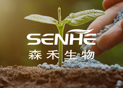 �r�I���ϾWվ�����_�l�������p