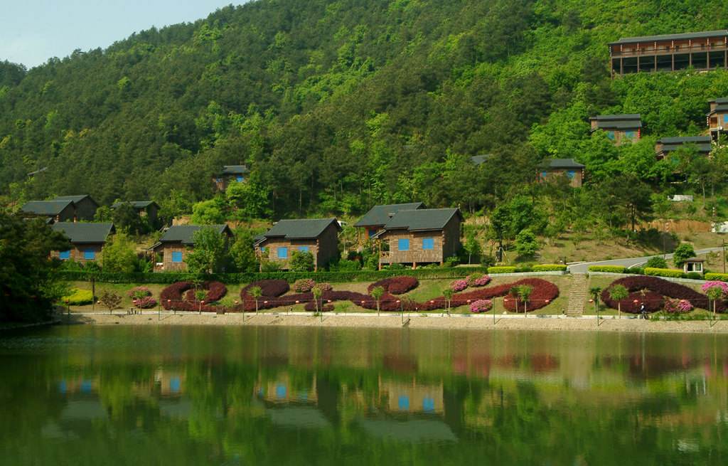 ���ξWվ����