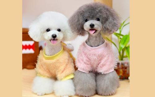 ����W(w��ng)վ����