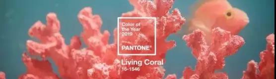 ���оW��OӋ