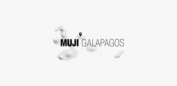 �W��OӋ�cAPP�OӋ�p��