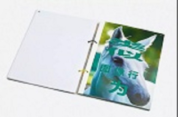 �W��OӋ�зŴ�h�ֵ�����