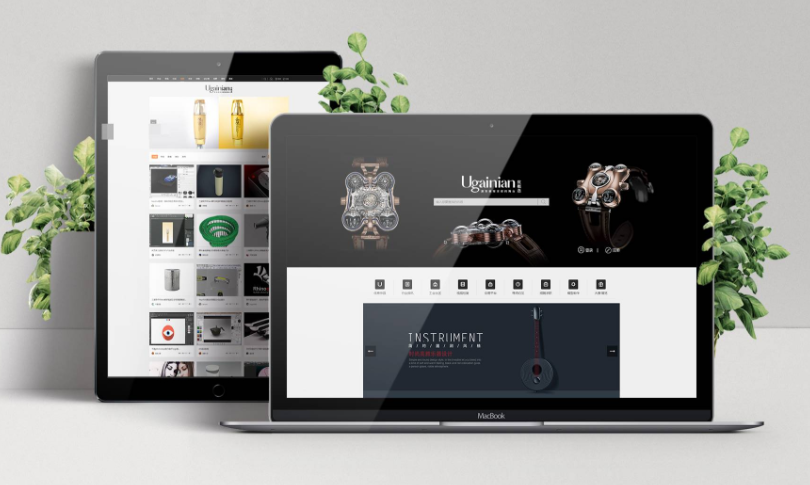 �W(w��ng)վ���O(sh��)