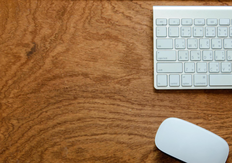 �W(w��ng)վ����