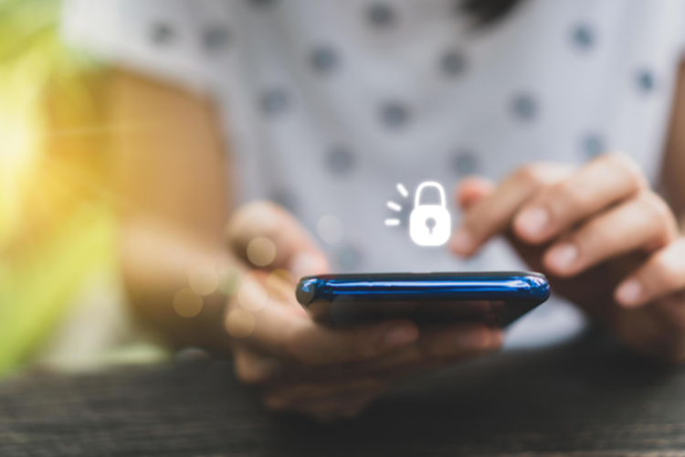 �W(w��ng)վ���O(sh��)