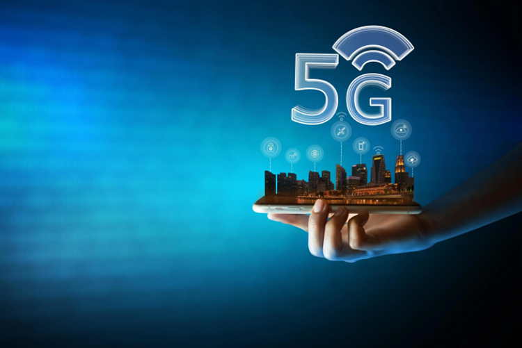 �W(w��ng)վ��(y��u)��