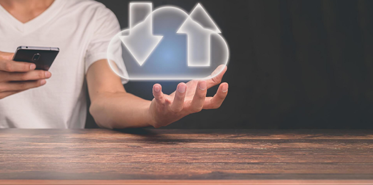 �W(w��ng)վ��(y��u)��