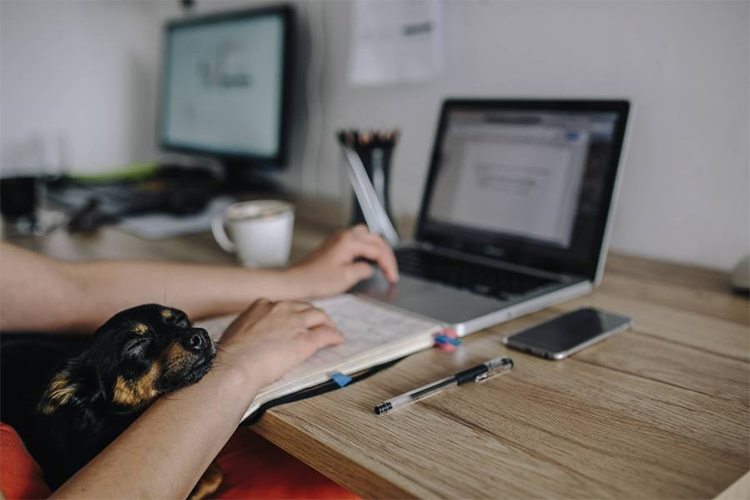 �W(w��ng)վ�_�l(f��)