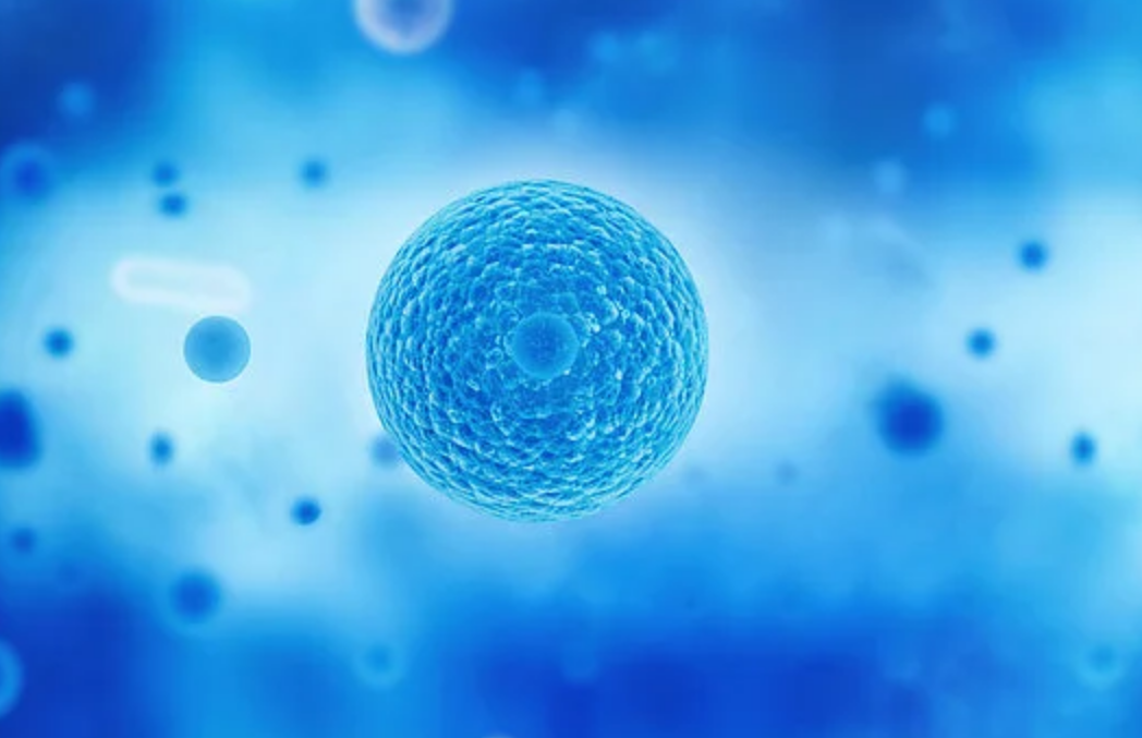 �t���Wվ�_�l