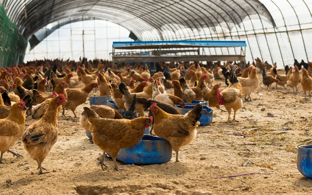 �Bֳ�Wվ�_�l