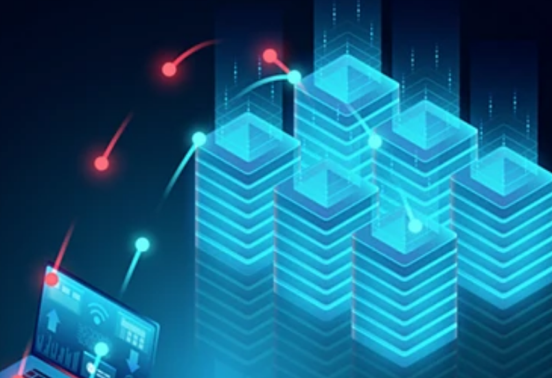 �����W(w��ng)վ