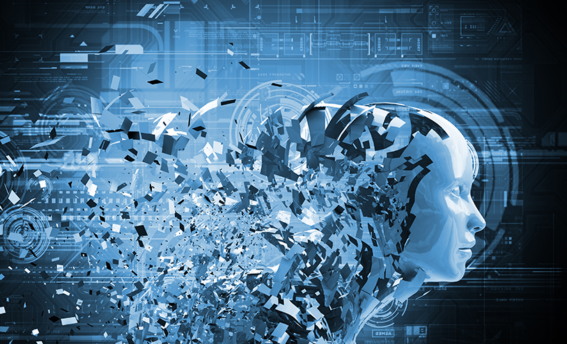 �����W(w��ng)վ����