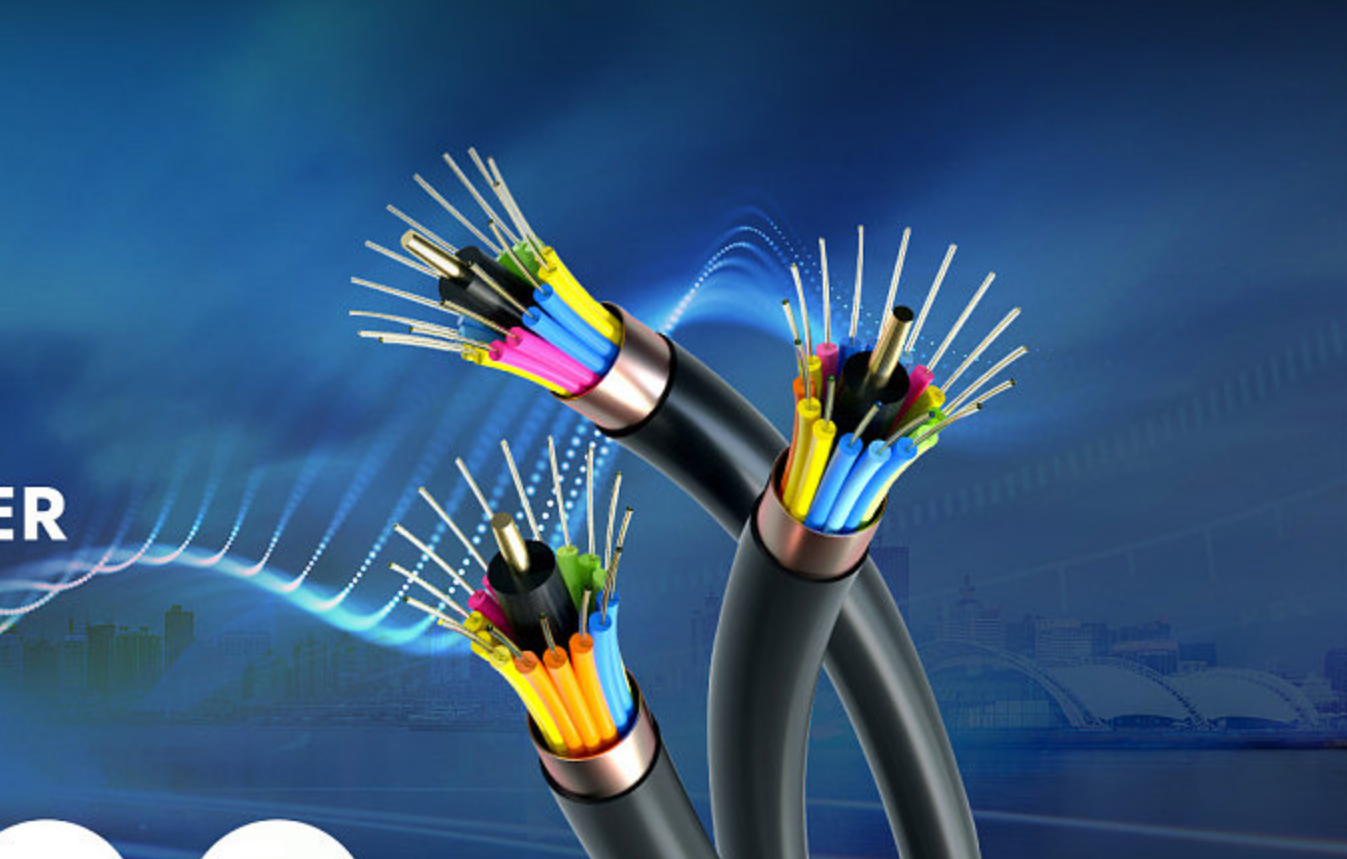 �W(w��ng)վ���O(sh��)